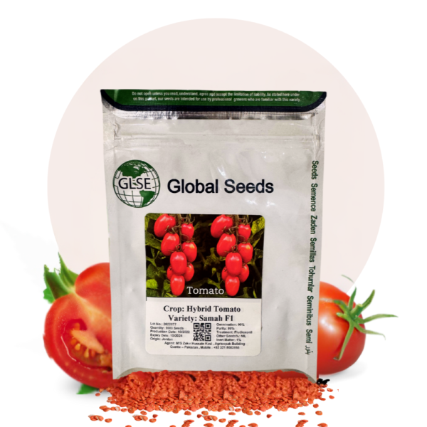 Hybrid Tomato Seeds