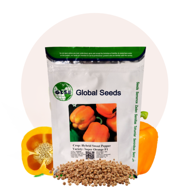 Hybrid Sweet Pepper Seeds