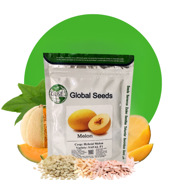 Hybrid Melon Seeds