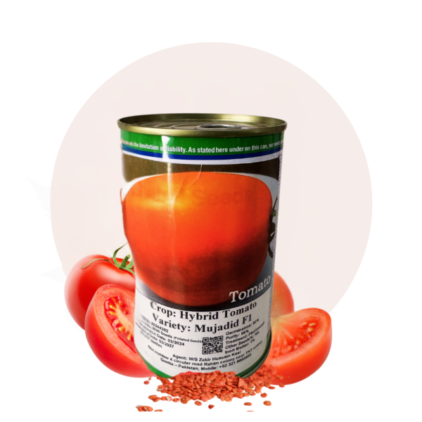 Hybrid Tomato Seeds