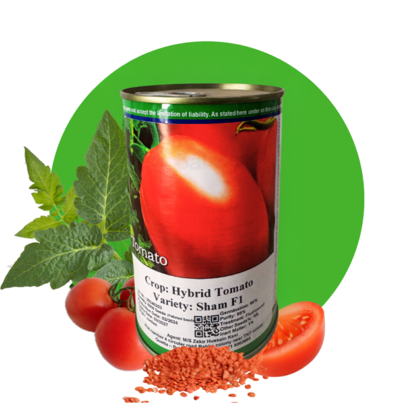 Hybrid Tomato Seeds